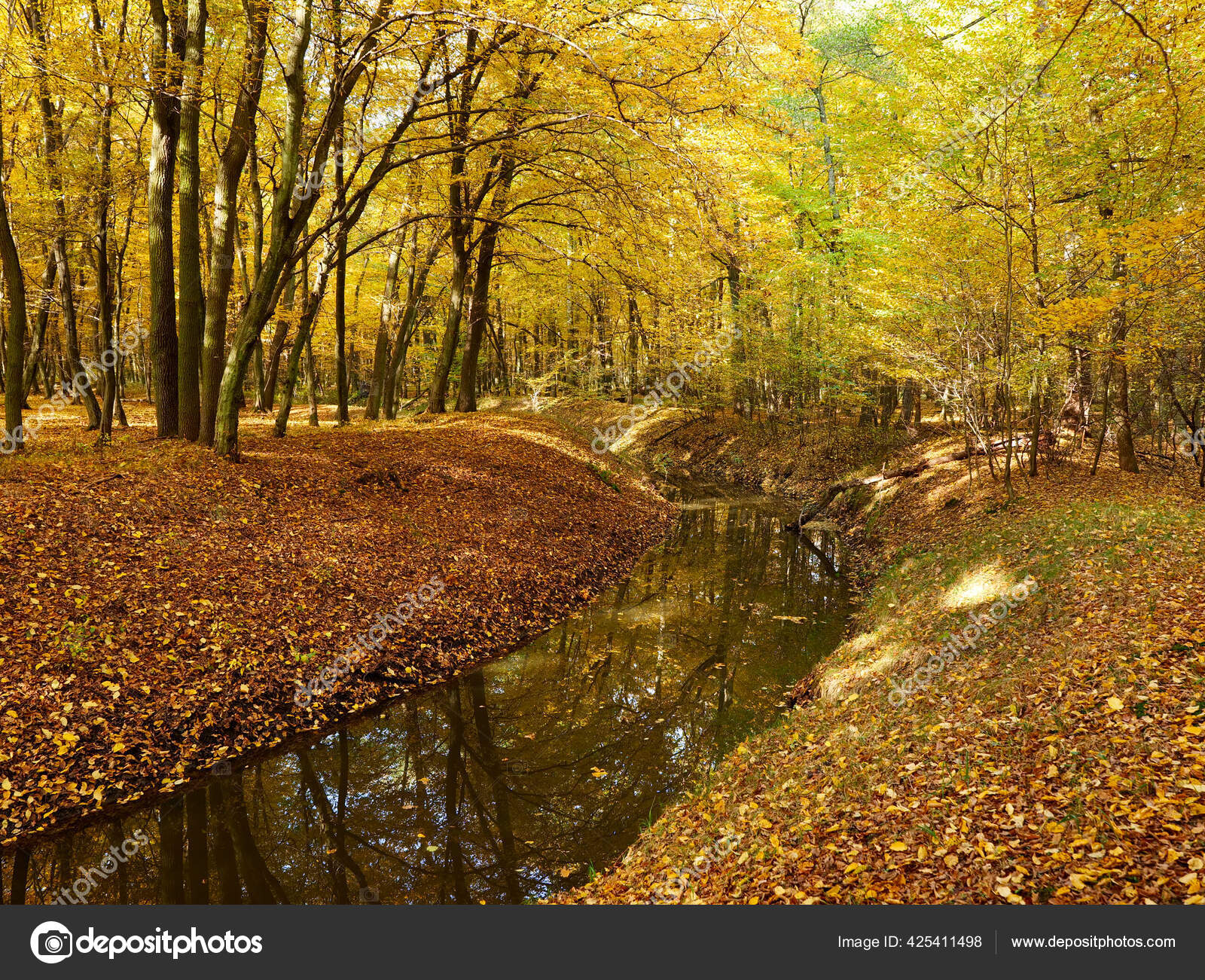 Autumn Charms Atmosphere Forest Decorated Palette Colors Dying Leaves Stock Photo Image By C Warant