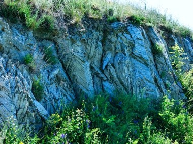 Przlin doğa rezervi (