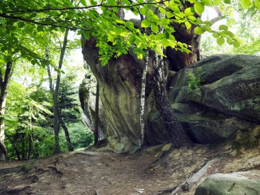 Szczyrzyc 'teki Şeytan Taşı etkileyici bir cansız doğal anıttır. Şeytan tarafından atıldığı söylenen devasa bir kumtaşı çıkıntısıdır..