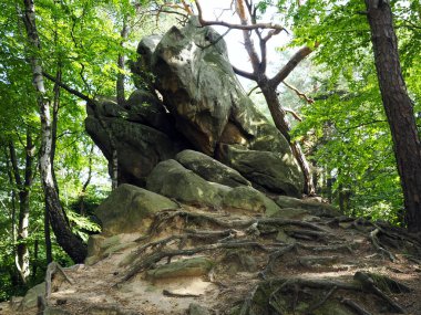 Szczyrzyc 'teki Şeytan Taşı etkileyici bir cansız doğal anıttır. Şeytan tarafından atıldığı söylenen devasa bir kumtaşı çıkıntısıdır..