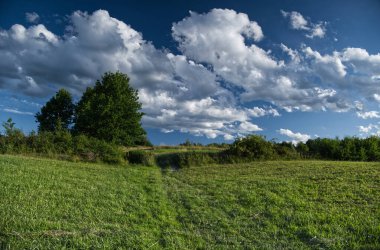 Nostaljik, güneşli bir yaz öğleden sonrası manzarası. Yuvarlanan tepeler, tarlalar ve çalılar. Kırsal alanlarda dolaşmak için uygun bir zaman..