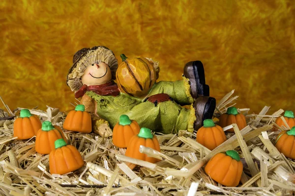 Fågelskrämma i pumpkin patch — Stockfoto