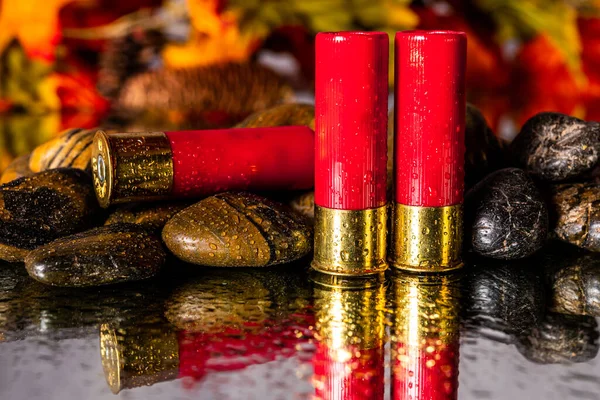 Three Shotgun Shells Isolated Stones Reflective Wet Mirror Fall Colors — Stock Photo, Image