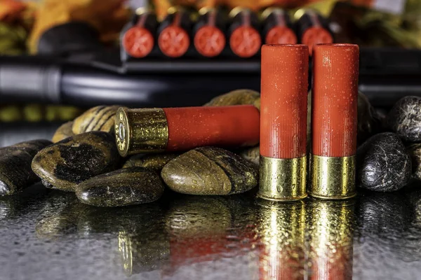 Három Vadászpuska Lövedék Elszigetelt Kövek Tükröződik Nedves Tükörben Taktikai Shotgun — Stock Fotó
