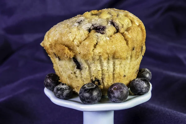 Blueberry Muffin Fresh Blueberries Blue Plate Blue Background — Stock Photo, Image