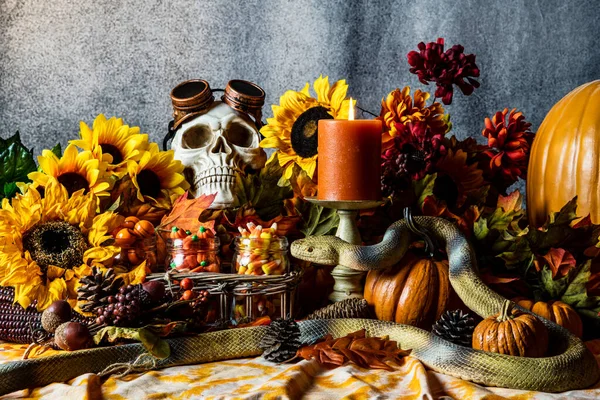 Halloween Stillleben Mit Gelben Sonnenblumen Orange Kürbisse Totenkopfschlange Und Zuckermais — Stockfoto