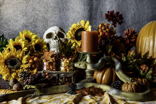 Halloween Stillleben Mit Orangefarbenen Kürbissen Gelben Sonnenblumen Totenkopfschlange Und Zuckermais — Stockfoto