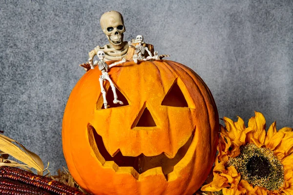 Figure Scheletro Strisciando Sopra Arancione Halloween Jack Lanterna Con Girasole — Foto Stock