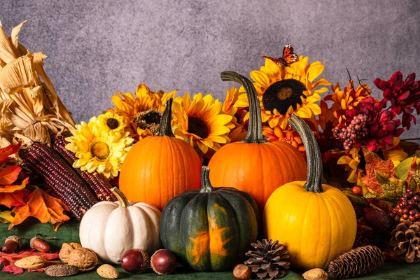 Bunte Herbst Kürbisse Sonnenblumen Tannenzapfen Nüsse Und Mais Mit Schmetterling — Stockfoto