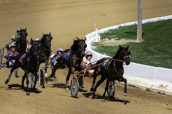 Carreras de caballos — Foto de Stock