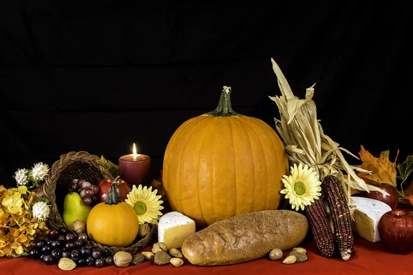 Cornucópia de ação de graças — Fotografia de Stock