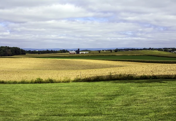 Farmland — Stock Photo, Image