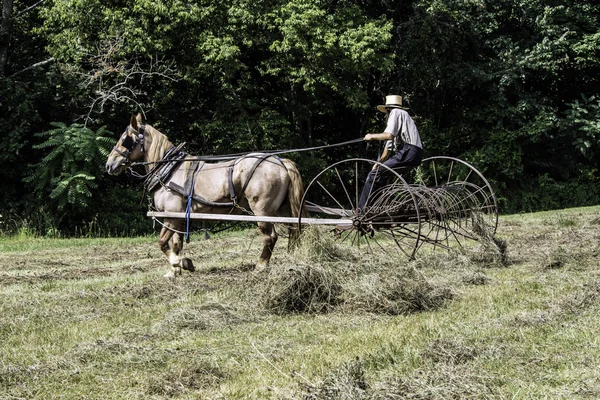 Amish — Stockfoto