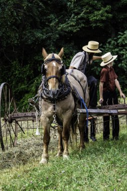 Amish adam ve çocuk