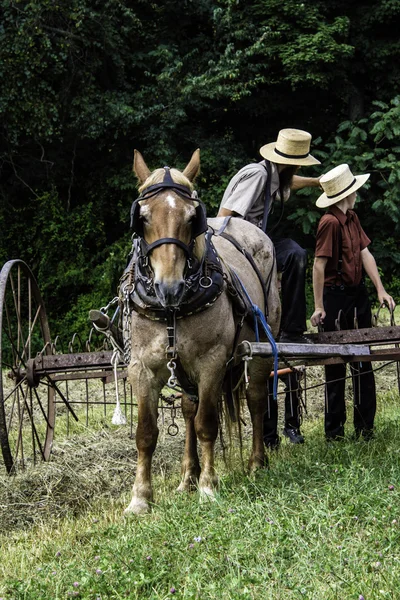 Amish Man en jongen — Stockfoto