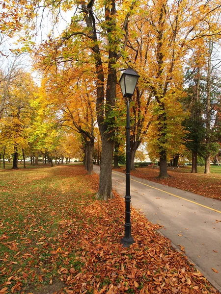 Autmn a parkban Jogdíjmentes Stock Képek