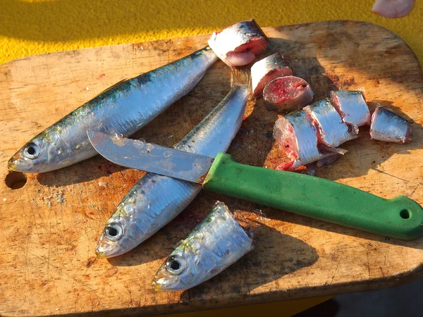 Fischköder — Stockfoto