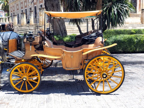 Carruaje de caballo — Foto de Stock