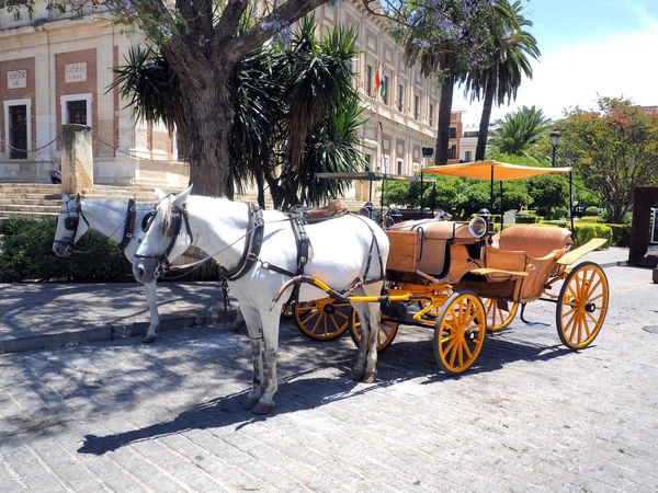 Carruaje de caballo —  Fotos de Stock