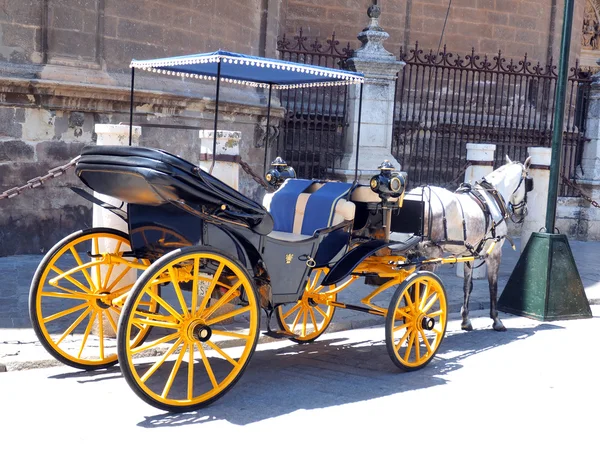 Carruaje de caballo — Foto de Stock