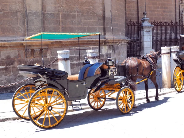 Horse carriage — Stock Photo, Image