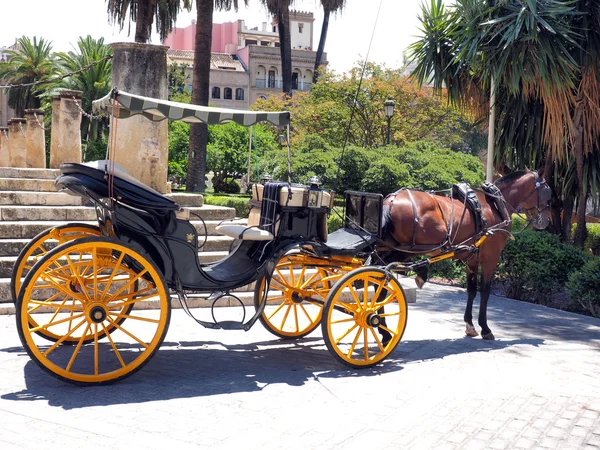 Horse carriage — Stock Photo, Image