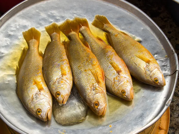 Frischer Fisch — Stockfoto