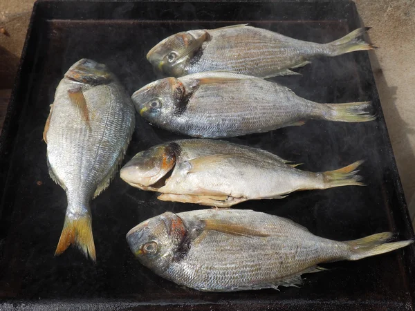 Peixe grelhado fresco — Fotografia de Stock