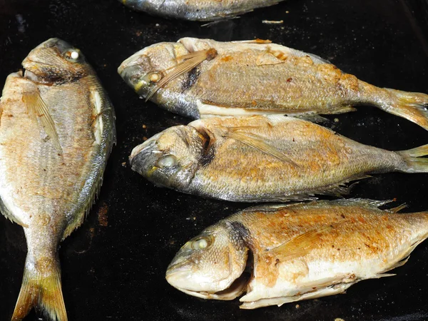 Čerstvé ryby na grilu Royalty Free Stock Obrázky