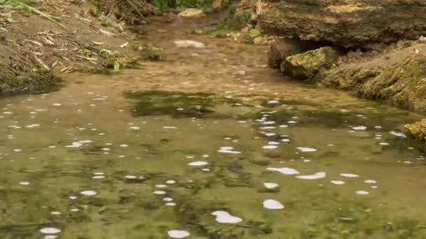 清澈的淡水从岩石下面流出 一条有淡水的小河 — 图库视频影像