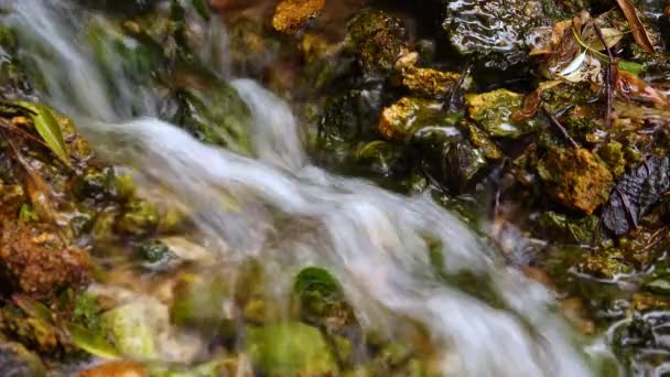 Ein Kleiner Wasserfall Ein Schneller Süßwasserstrom Fließt Aus Der Quelle — Stockvideo