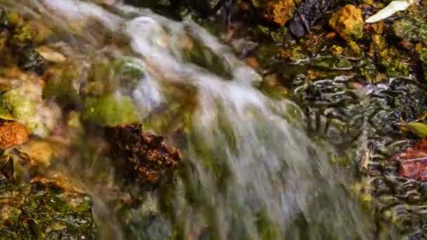 Malý Vodopád Rychlý Proud Sladké Vody Teče Pramene Ukrajina — Stock video