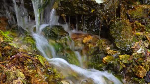 一个小瀑布 一股湍急的淡水从泉水中流出 乌克兰 — 图库视频影像