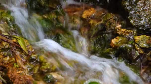 Una Piccola Cascata Flusso Veloce Acqua Dolce Sgorga Dalla Sorgente — Video Stock