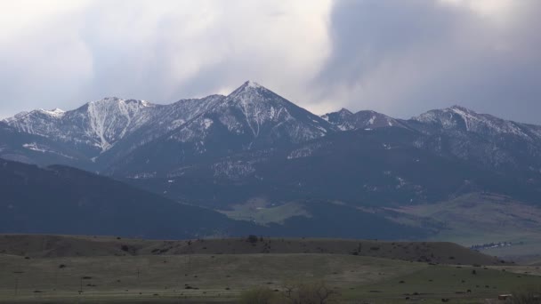 Mountains Snow Overgrown Wood Thick Clouds Mountains Montana Usa — Stock Video