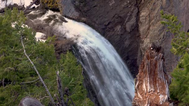 Cataratas Clear Creek Bosque Nacional Wenatchee Rainier National Park Washington — Vídeo de stock