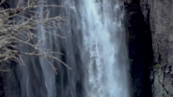 韦纳奇国家森林清溪瀑布美国华盛顿Rainier国家公园 — 图库视频影像