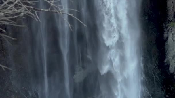 Cataratas Clear Creek Bosque Nacional Wenatchee Rainier National Park Washington — Vídeo de stock