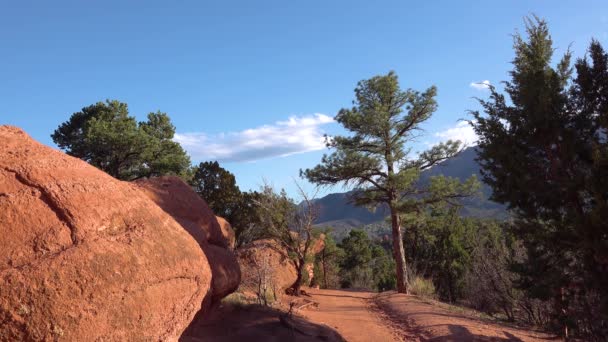 Pin Résineux Dans Les Montagnes Jardin Des Dieux Colorado Springs — Video
