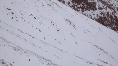 Colorado, ABD - Mayıs 05, 2018: Karlı bir dağdan bir kayakçı indi. Pikes Tepesi Dağı 