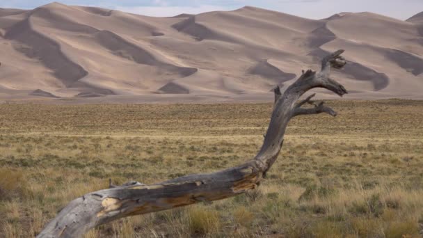 Het Great Sand Dunes National Park Colorado Een Prachtige Droge — Stockvideo