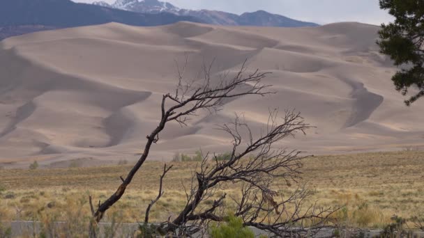Great Sand Dunes Nemzeti Park Colorado Egy Gyönyörű Száraz Homokdűnék — Stock videók