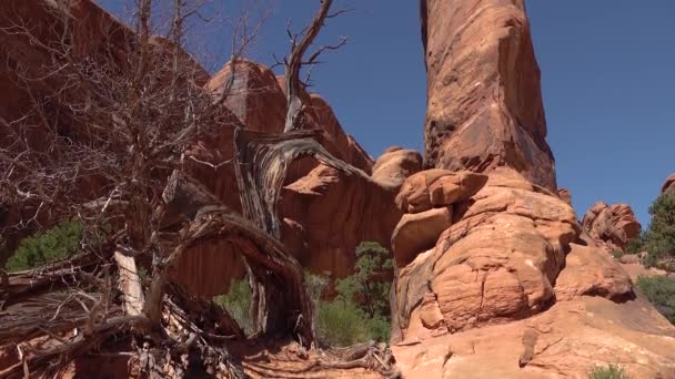 Pemandangan Berkarat Taman Nasional Arches Moab Utah Amerika Serikat — Stok Video