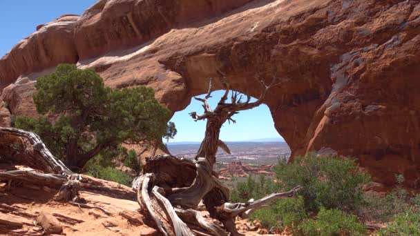 Taman Nasional Arches Moab Utah — Stok Video