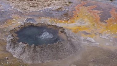 Kaynar su kaynayan gayzer. Büyük patlamalarla aktif gayzer. Yellowstone Ulusal Parkı, Wyoming, ABD