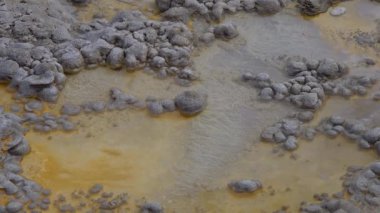 Yosun-bakteriyel paspaslar. Sıcak termal yay, Yellowstone Ulusal Parkı 'nda sıcak havuz. Wyoming, ABD