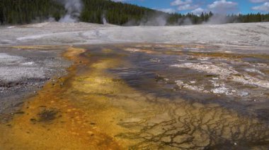 Yosun-bakteriyel paspaslar. Sıcak termal yay, Yellowstone Ulusal Parkı 'nda sıcak havuz. Wyoming, ABD