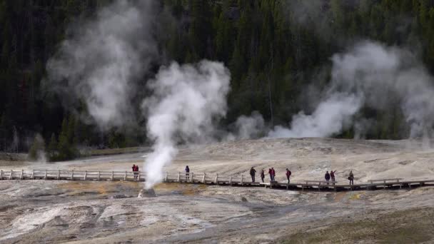 Tourists Background Geyser Geyser Erupts Yellowstone National Park Wyoming Usa — Stock Video