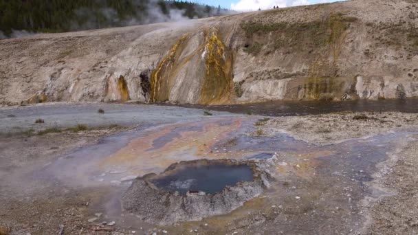 Kiehuva Vesikuplittaja Geyser Aktiivinen Geysir Jolla Suuria Purkauksia Yellowstonen Kansallispuisto — kuvapankkivideo