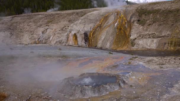 Kokend Water Bubbler Geyser Actieve Geiser Met Grote Uitbarstingen Yellowstone — Stockvideo